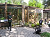 Rīgas zoo atklāj vasaras mītnes mazajiem pērtiķīšiem - 19