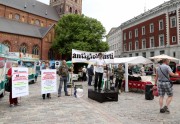 'Antiglobālisti' protestē pret bēgļu uzņemšanu Latvijā - 8