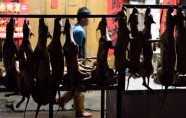 Suņu gaļas ēšanas festivāls Ķīnā - 5