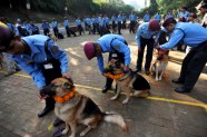 Suņu godināšana festivālā Nepālā - 12