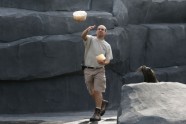 Foto: Kā zvēri zoodārzos tiek galā ar lielo karstumu - 3