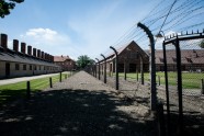 Освенцим - 1