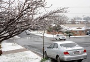 Austrālijas iedzīvotājus pārsteidz sniegs