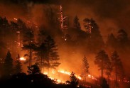 Mežu ugunsgrēks Kalifornijā
