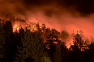 Mežu ugunsgrēks Kalifornijā - 9