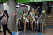 Miss Butt Brazil 2015 models - 1