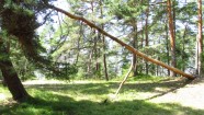 Лагерь Ecoland Латвийской федерации спортивного ушу #1 - 21