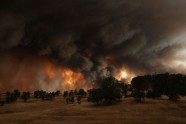 Meža ugunsgrēki Kalifornijā 2015 - 10