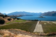 Rippon Winery, Wanaka, New Zealand