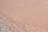 Розовый песок на Элафонисси.
