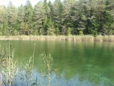 Entu ezeri Igaunijā - 2