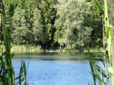 Entu ezeri Igaunijā - 3