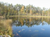 Entu ezeri Igaunijā - 4