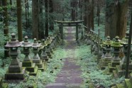 Kamishikimikumano - senais mežs Japānā - 3