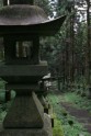 Kamishikimikumano - senais mežs Japānā - 4
