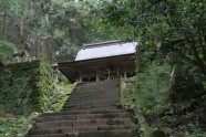 Kamishikimikumano - senais mežs Japānā - 5