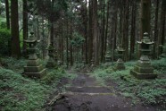 Kamishikimikumano - senais mežs Japānā - 8