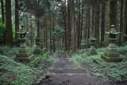 Kamishikimikumano - senais mežs Japānā - 9