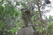 Kamishikimikumano - senais mežs Japānā - 11