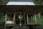 Kamishikimikumano - senais mežs Japānā - 12