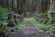 Kamishikimikumano - senais mežs Japānā - 13