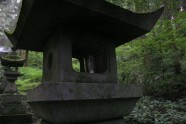 Kamishikimikumano - senais mežs Japānā - 14