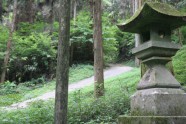 Kamishikimikumano - senais mežs Japānā - 15