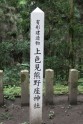 Kamishikimikumano - senais mežs Japānā - 17