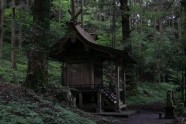 Kamishikimikumano - senais mežs Japānā - 18