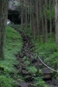 Kamishikimikumano - senais mežs Japānā - 19