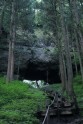 Kamishikimikumano - senais mežs Japānā - 22