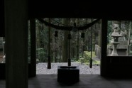 Kamishikimikumano - senais mežs Japānā - 26
