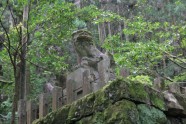 Kamishikimikumano - senais mežs Japānā - 27