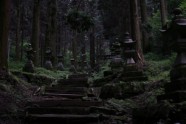 Kamishikimikumano - senais mežs Japānā - 28