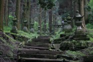 Kamishikimikumano - senais mežs Japānā - 29