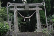 Kamishikimikumano - senais mežs Japānā - 30