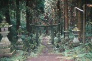Kamishikimikumano - senais mežs Japānā - 33