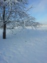 Sniega sega Staicelē - 2