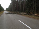 Stiprā vēja radītie postījumi un plūdi Latvijā - 2