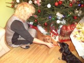 Ziemassvētki ar suņiem  - 3