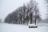 Sniegs Rīgā 2016 - 14