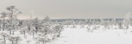 Ķemeru nacionālais parks ziemā - 2