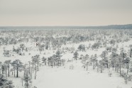 Ķemeru nacionālais parks ziemā - 3