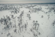 Ķemeru nacionālais parks ziemā - 10