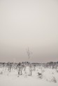 Ķemeru nacionālais parks ziemā - 12
