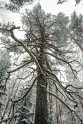Ķemeru nacionālais parks ziemā - 13