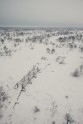 Ķemeru nacionālais parks ziemā - 15