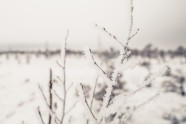 Ķemeru nacionālais parks ziemā - 17
