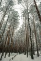 Ķemeru nacionālais parks ziemā - 18