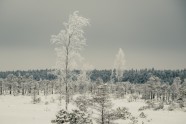 Ķemeru nacionālais parks ziemā - 19